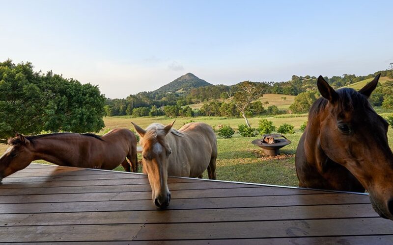 Eumundi House