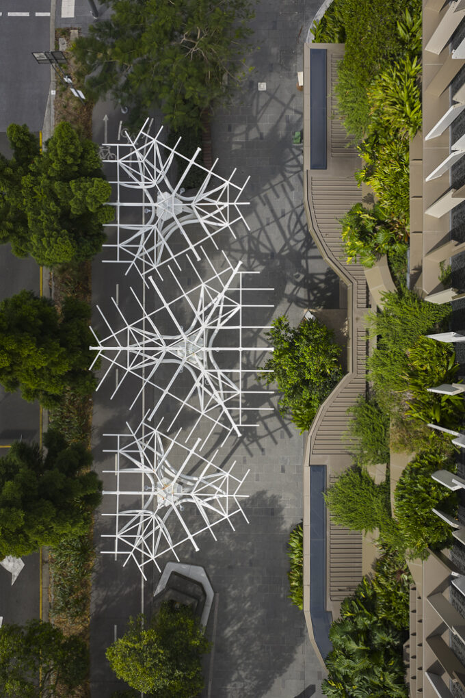 Celebrating Creativity: Announcing the Winner of the 2025 SCOH Photography Competition