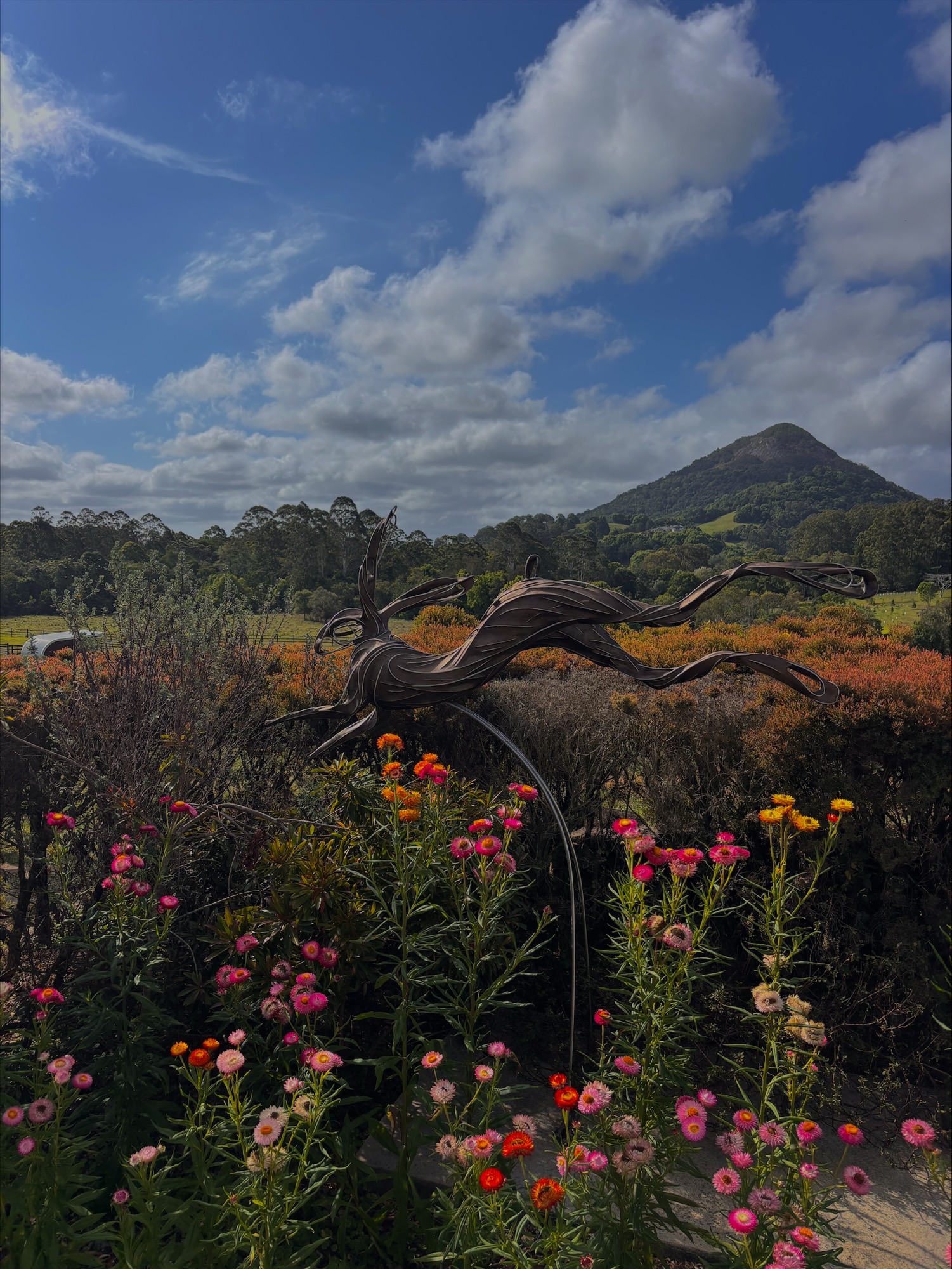 Sunshine Coast Open House 2026 Photography Competition